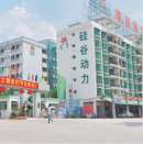 Teng Yuanzhi Shenzhen Electronic Co., Ltd.