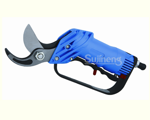 Pruning Shear