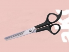 Hair Scissors