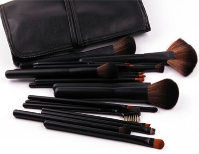 Professional Makeup Brush Set