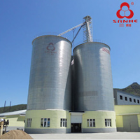 Steel Silo   D11*12C