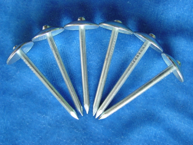 Umbrella Roofing Nail