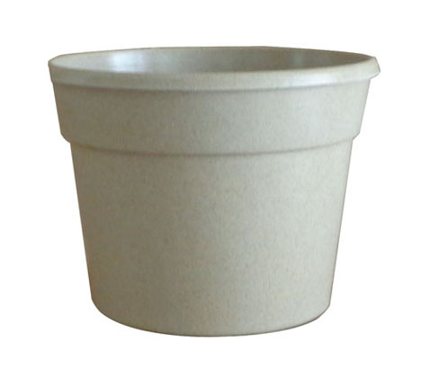 Flower Pot