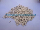 Molecular Sieve