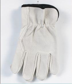 Household Gloves