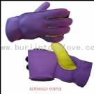 Household Gloves