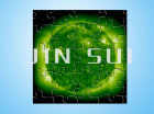 Puzzle (JS-M-021)