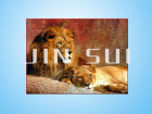 Puzzle (JS-M-024)