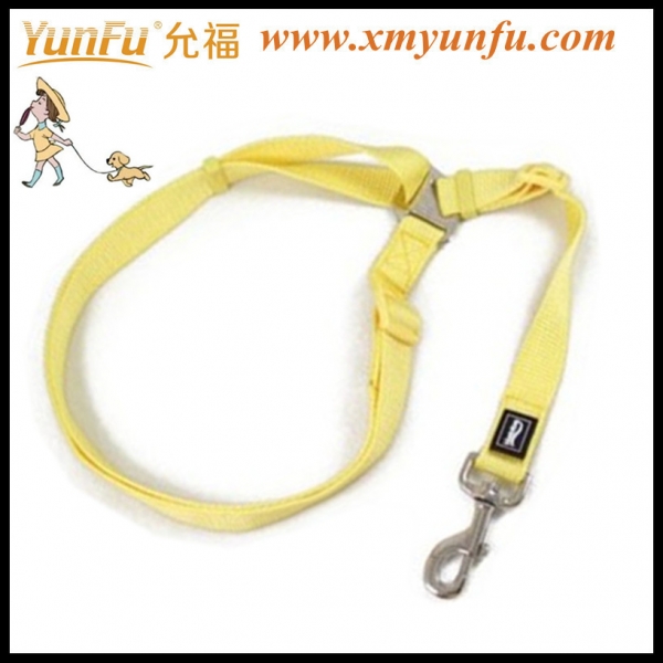 Pet Leash