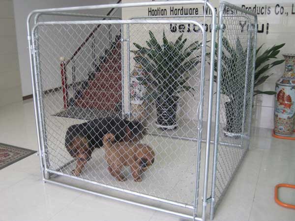 Pet Cages