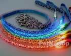 LED Pet Leash