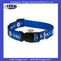 Pet Collar