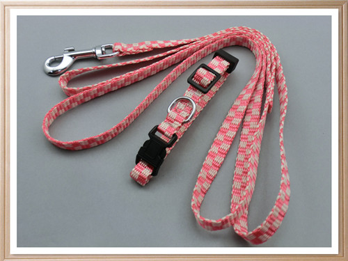 Pet Leash