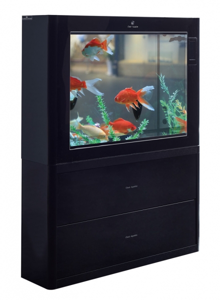 Aquarium Tank