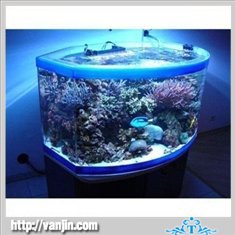 Aquarium Tank