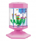 Aquarium Tank