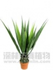 Artificial Plant