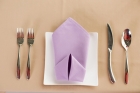 Table Napkin