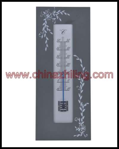 Household Thermometers