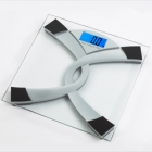 Bathroom scale