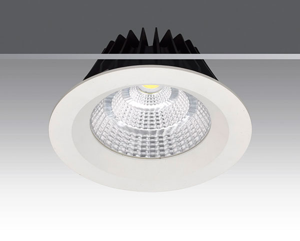 LED DownLighters