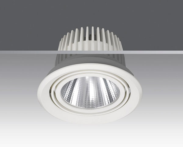 LED DownLighters