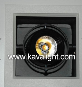 LED DownLighters