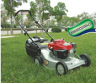 Lawn Mowers--CJ19TSHD55-AL