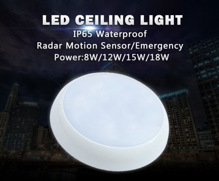 LED Ceiling Lamps