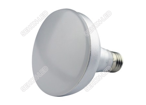 LED Bulb Lights